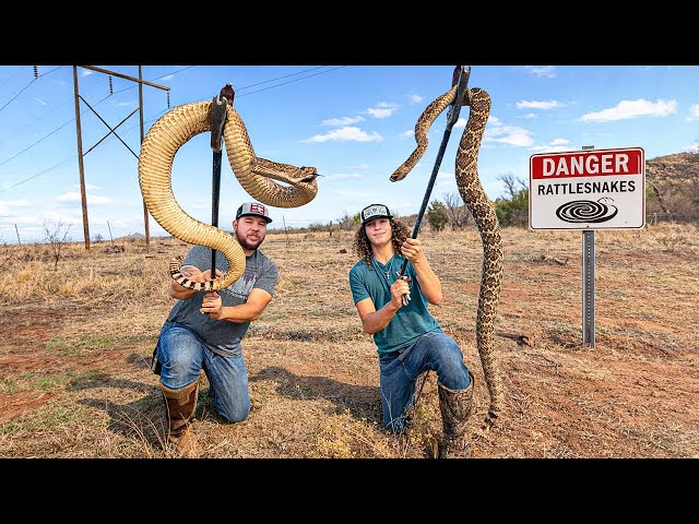 Rattlesnake Hunting in Oklahoma's Wild Wild West!