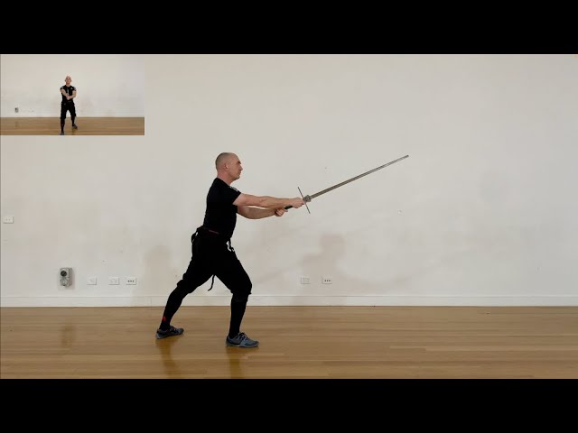 Meyer Longsword Guards/Stances