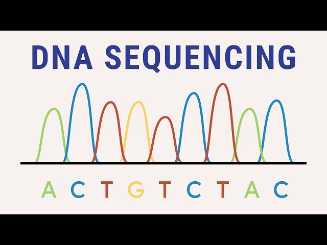 DNA sequencing explained | biology animation