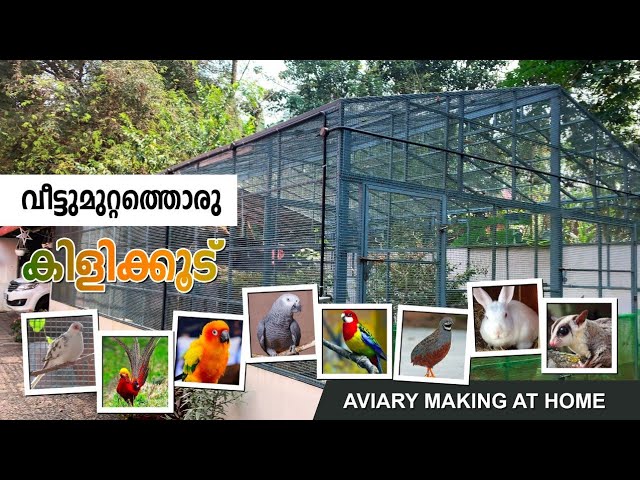 വീട്ടുമുറ്റത്തൊരു കിളിക്കൂട് | Making Aviary at Home.Bird cage