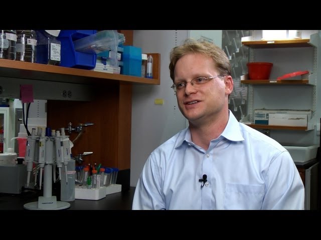 What is Genomics?