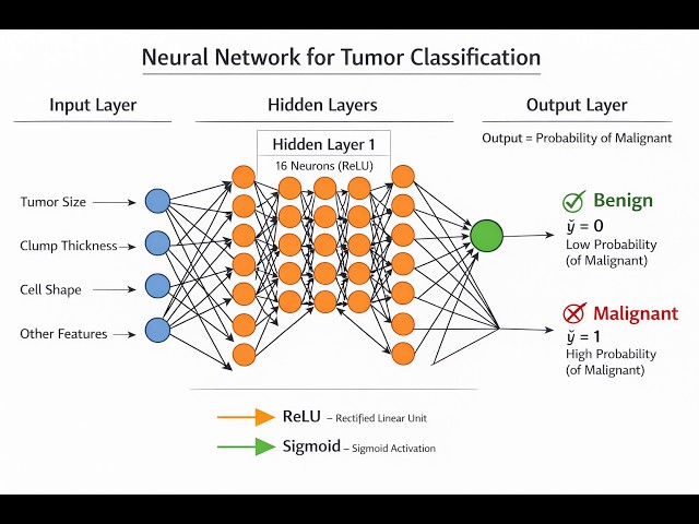 Neural Network for Tumor Classification (Python + Explanation) | Step-by-Step Guide
