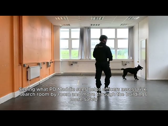 See what our Police Dogs see: The new live-streaming cameras helping keep our PDs safe