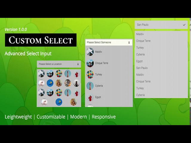 Custom Select | Advanced Select Inputs for Forms | Codecanyon Scripts and Snippets