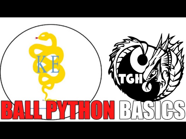 Ball Python Basics