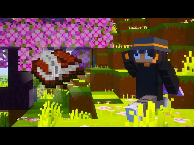 How To Make YOUR Minecraft SMP Applications Stand Out