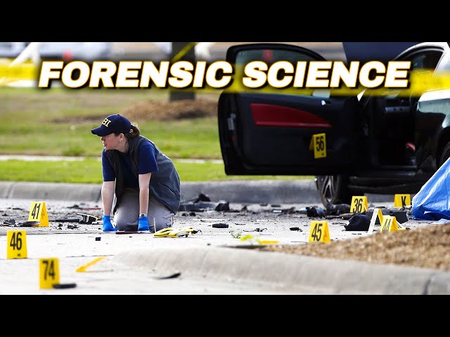 Fundamentals Of Crime Scene Investigation