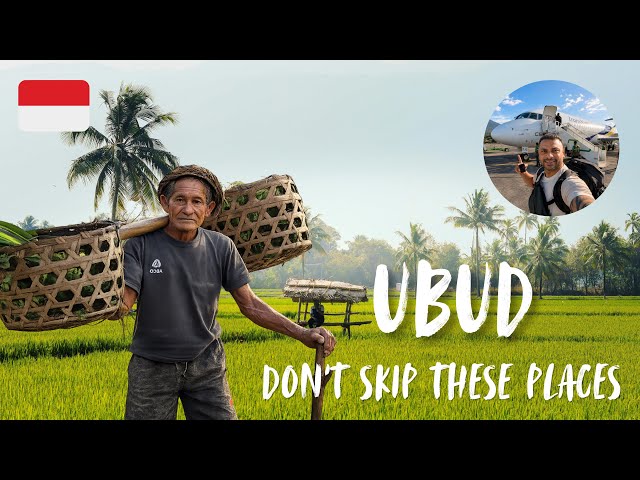 Bali Beyond Parties and Beach Clubs | UbudMonkey Forest & Rice Terraces 