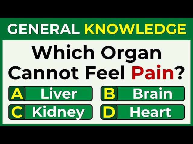 Your Brain Is Brilliant If You Score 30+ 🧠🔥 | 40-Question General Knowledge Quiz #149