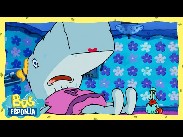 Comida para Perlita | Bob Esponja en Español