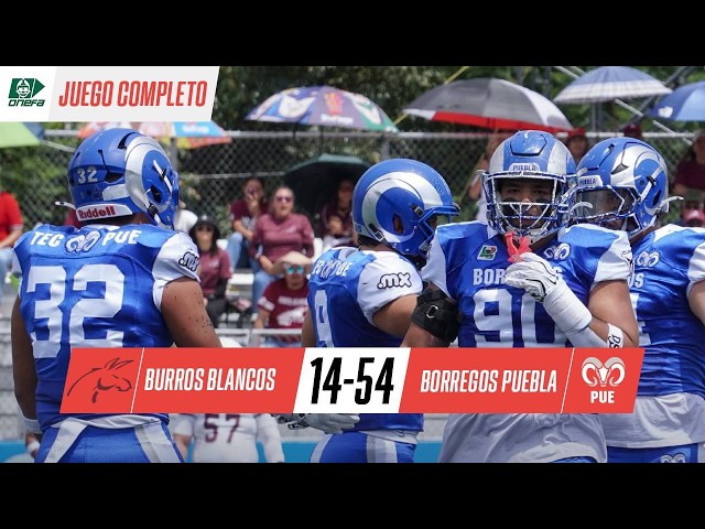 🏈 ¡BORREGOS PUEBLA APLASTA en casa a los BURROS BLANCOS del IPN! | Semana 4 | ONEFA | JUEGO COMPLETO
