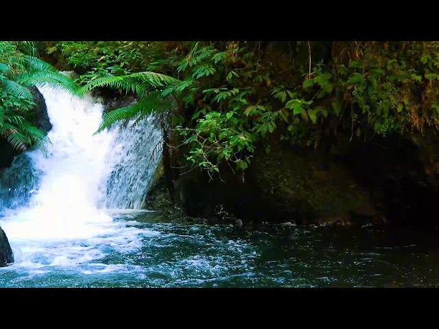 Peaceful Flowing Water Sounds for Deep Sleep, Calm Focus and Soothing Stress Relief