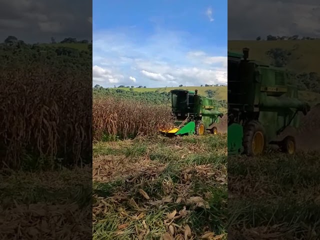 Why Machinery Costs Drop as Farm Size Grows