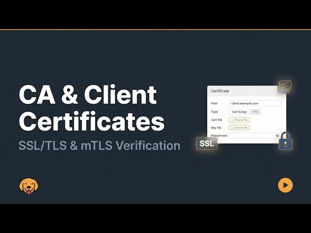 How to Configure CA & Client Certificates in Bruno | SSL/TLS & mTLS | API Testing