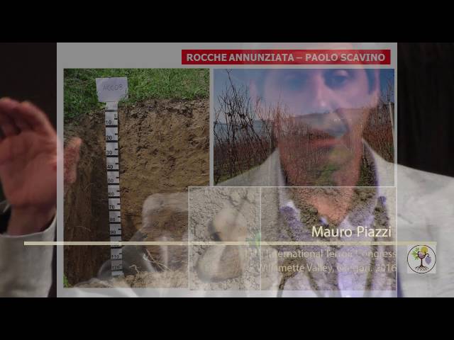 Soil Biodiversity as a Support to Environmental Sustainability in the Vineyard