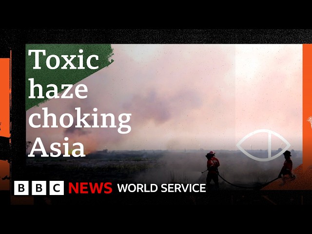 Indonesia’s Toxic Haze: Who’s behind the fires? - Global Eye, BBC World Service