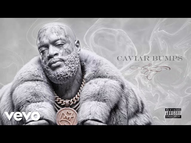 Rick Ross - Caviar Bumps (Official Visualizer)