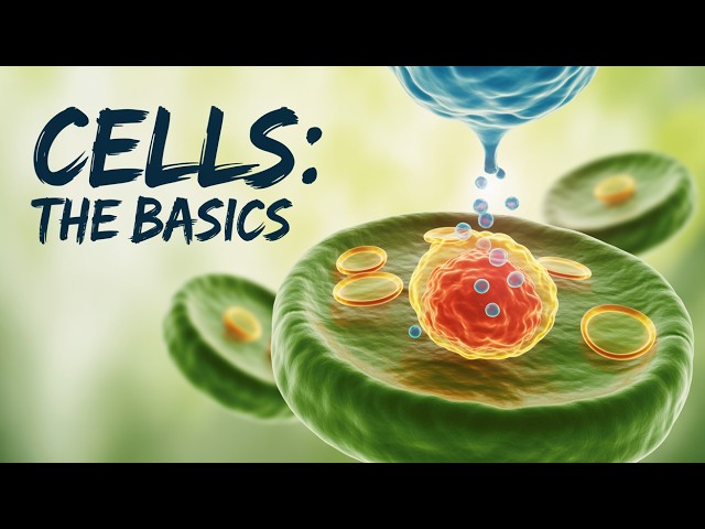 Living Things Classification System | Monera to Animalia #biology