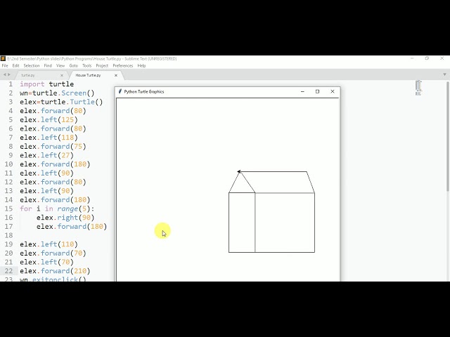 Python 3 || Turtle Programming to create House Diagram