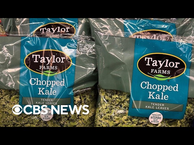 What to know about the cyclosporiasis outbreak as Taylor Farms pulls iceberg lettuce