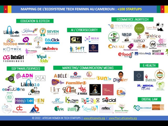 CAMEROON WOMEN IN TECH ECOSYTEM MAP