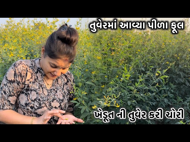 આ ખેડૂતની તુવેરની આજ ચોરી કરી ||Aa chori nathi kari comady hati ||मुजे तुवर की सब्जी बनानी है 😍😍😳🤪