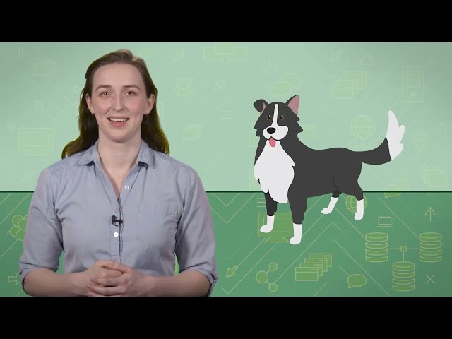 Separation of Concerns | Object-Oriented Design | System Design
