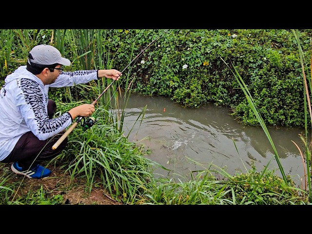 FISHING in the "MAGIC STREAM" of BIG FISH 🔥