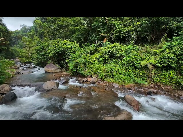 Relaxing West Java river sounds for gentle focus, peaceful restoration, and natural calm throughout