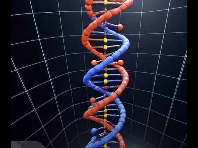 Binaural Age Reversal Sonic