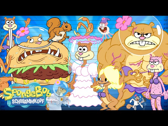 SpongeBob | Sandy‑Größenranking! 📏 | SpongeBob Schwammkopf