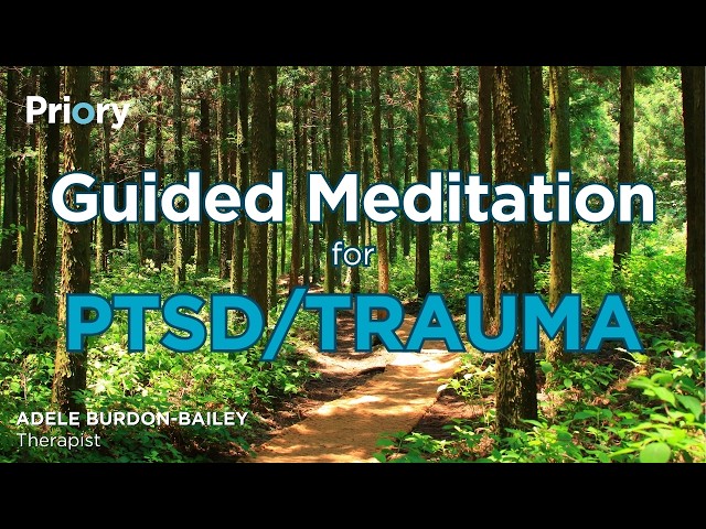 Safe Place Meditation for PTSD and Trauma | The Nature Reserve