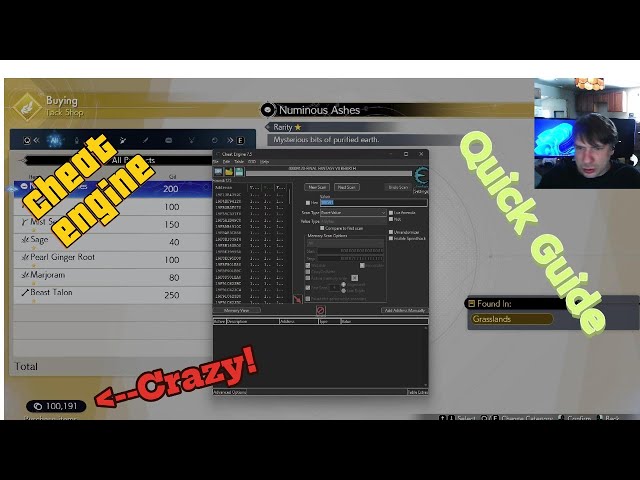 Cheat Engine quick guide.