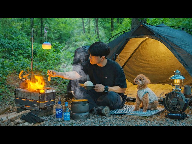 Camping in Forest with My Dog . Korean Pork Bulgogi . Wood Stove ASMR