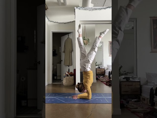 2018-2023 #pinchamayurasana #progressvideo #thenandnow