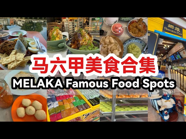 MELAKA Food Hunt List | Famous Food Spots in MELAKA | 马六甲美食合集
