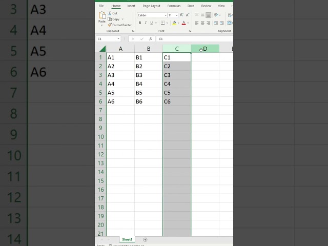 Excel Basics
