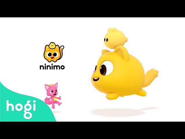 🐱 Wow! Giant Ninimo is Here!｜Ninimo Jingle｜Pinkfong Jingle｜Hogi Jingle｜Hogi Pinkfong