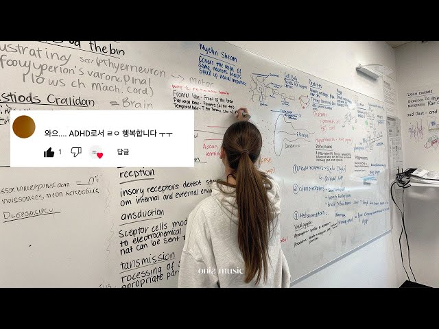 𝑷𝒍𝒂𝒚𝒍𝒊𝒔𝒕 (가사X) 미친 집중력 모드 ON⚡ADHD도 공부하게 만드는 음악들 🎧