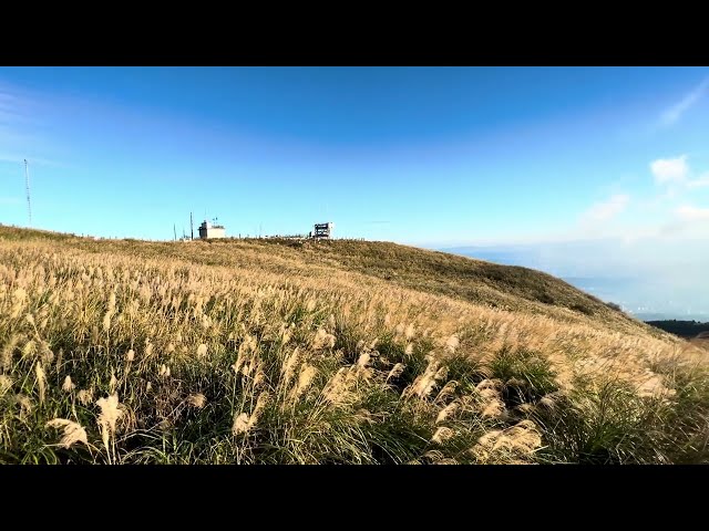 台北陽明山│大屯山觀景台│賞芒草美景│iphone錄影│20231210