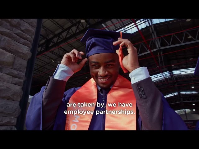 Is learning to code enough to become a successful software engineer?