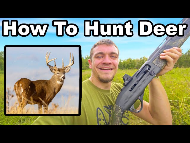 How To Hunt Deer For Beginners!