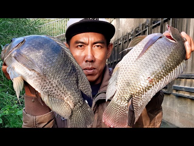 Amateur Tegek Fisherman in Action Again, Neighbors Watch as Spectators