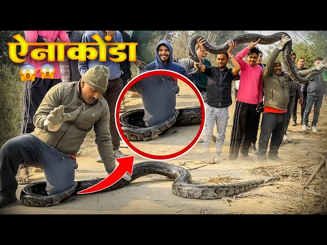 जब सडक पर अचानक दिखा विशालकाय अजगर सांप तो राहगिरीयों में मची अफरा तफरी Unbelievable Rescue 