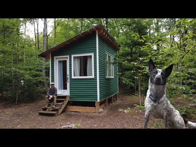 Off-Grid Adventure With Dog