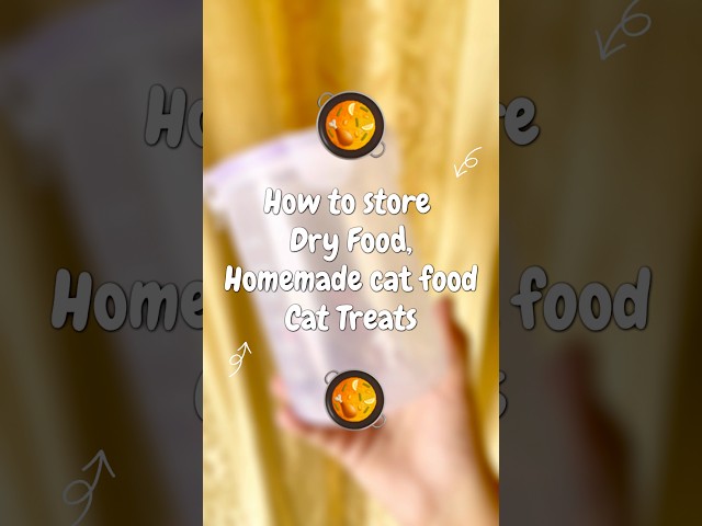 CHEAP & Useful! Cat Food Storage Container For 676 PKR | Daraz 11.11😱✨#shorts#cat #catfood#catvideos