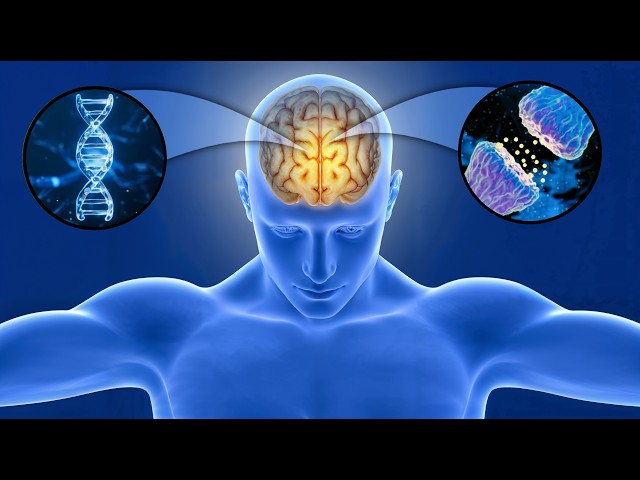 Gamma waves for STUDYING and MEMORIZING FAST 🧠 INCREASING PRODUCTIVITY
