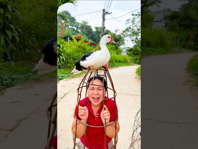 Funny family videos are always a source of inspiration and relaxation. #funny #cute