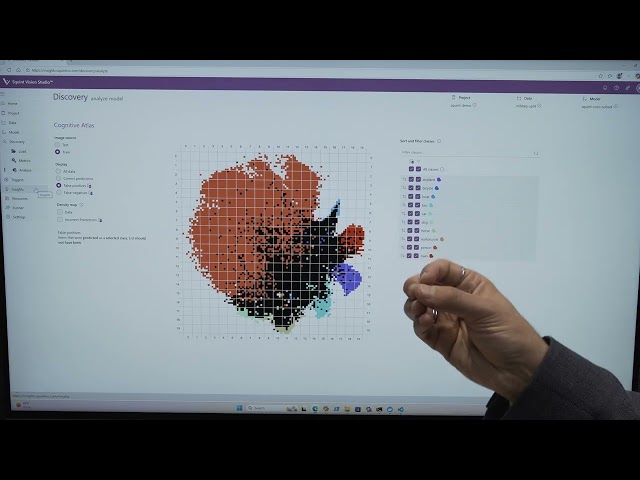 Squint Cognition Demonstration of Squint Vision Studio: AI Tooling and Watchdogs for Vision Models