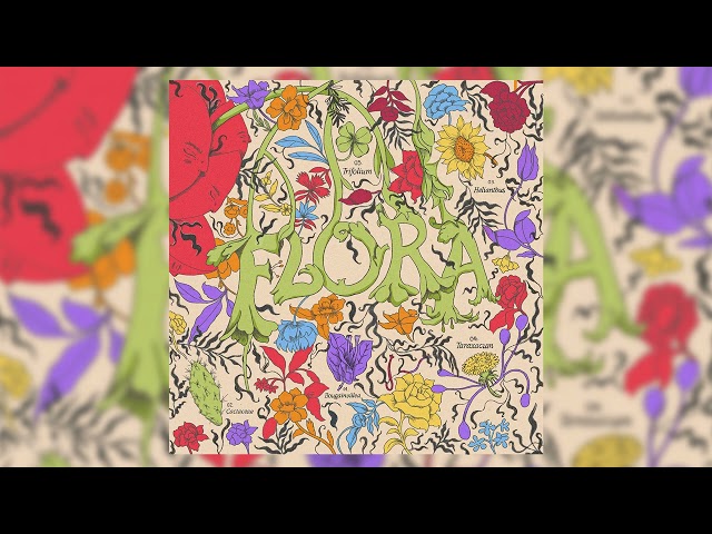 Nasa Histoires - Cactus (Audiocover)